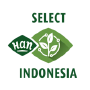 HAN Select Indonesia, Tangerang